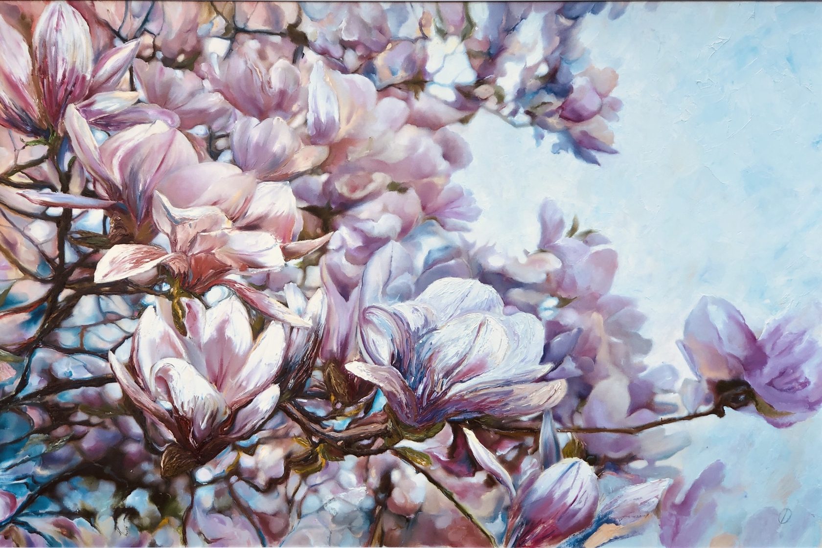 Magnolia in Blossom